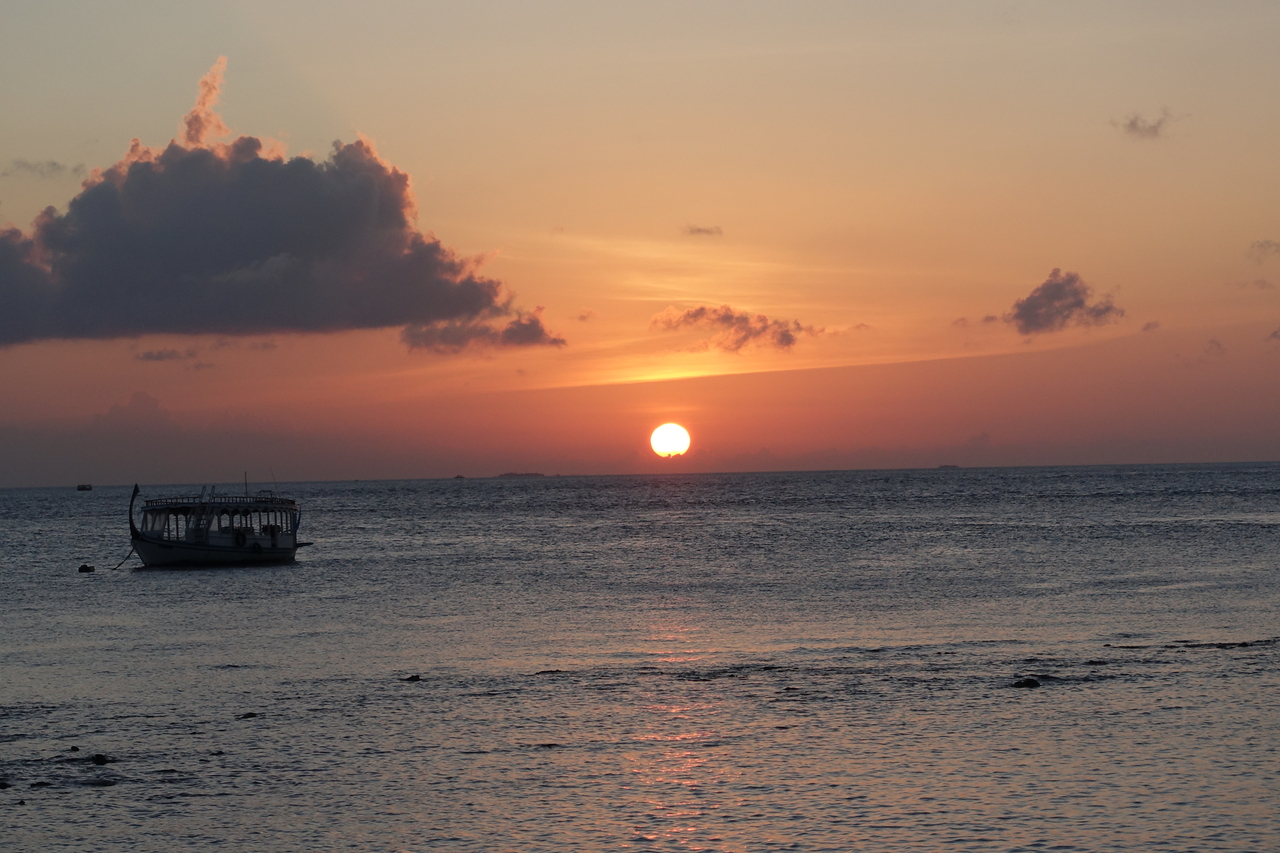 DSC00316.JPG