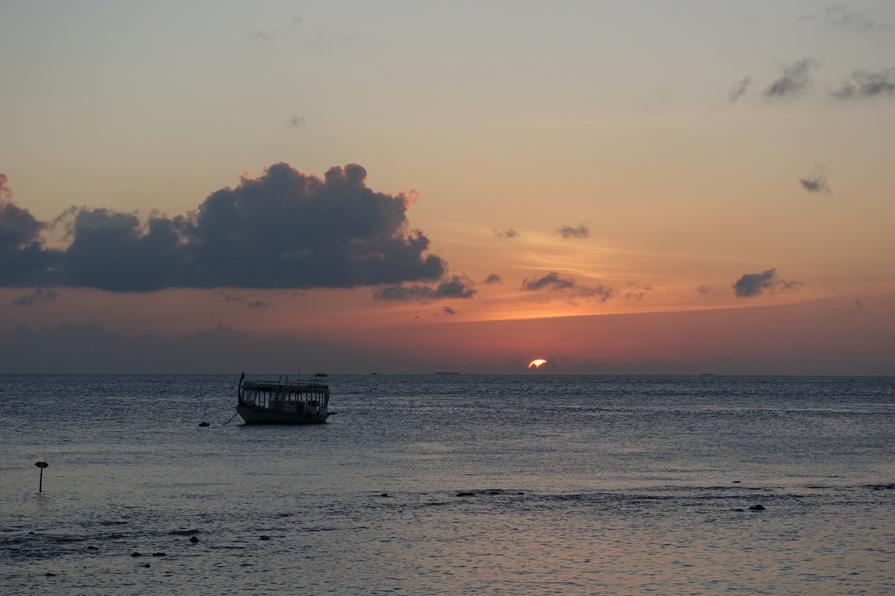 DSC00321.JPG