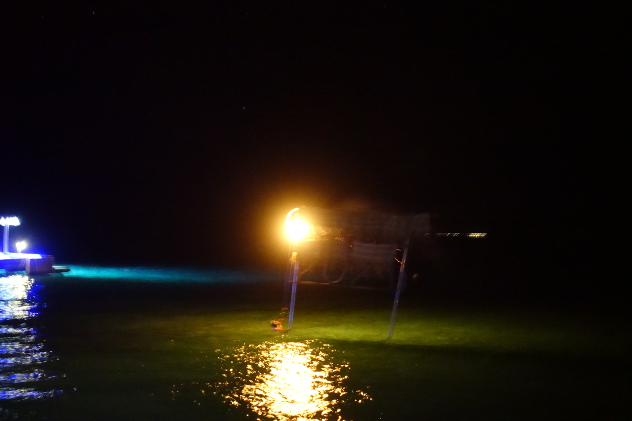 DSC00327.JPG
