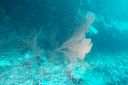 DSC00045.JPG