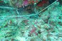DSC00046.JPG
