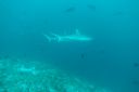 DSC00049.JPG