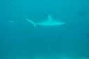 DSC00052.JPG
