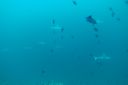 DSC00067.JPG