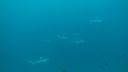DSC00069.JPG