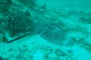 DSC00071.JPG