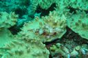 DSC00076.JPG