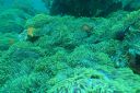 DSC00078.JPG