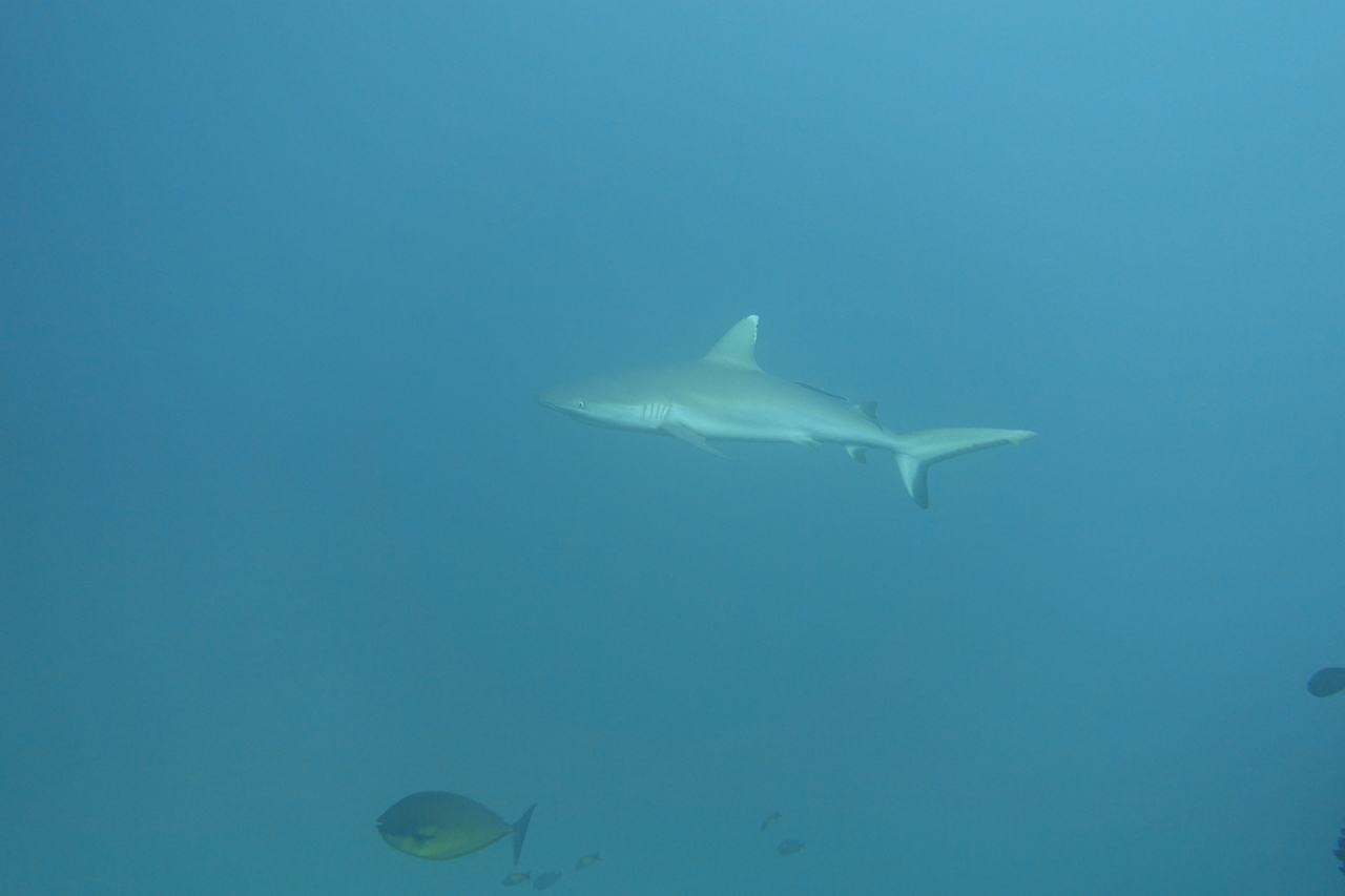 DSC00349.JPG