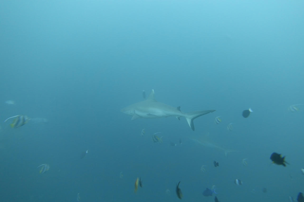 DSC00442.JPG