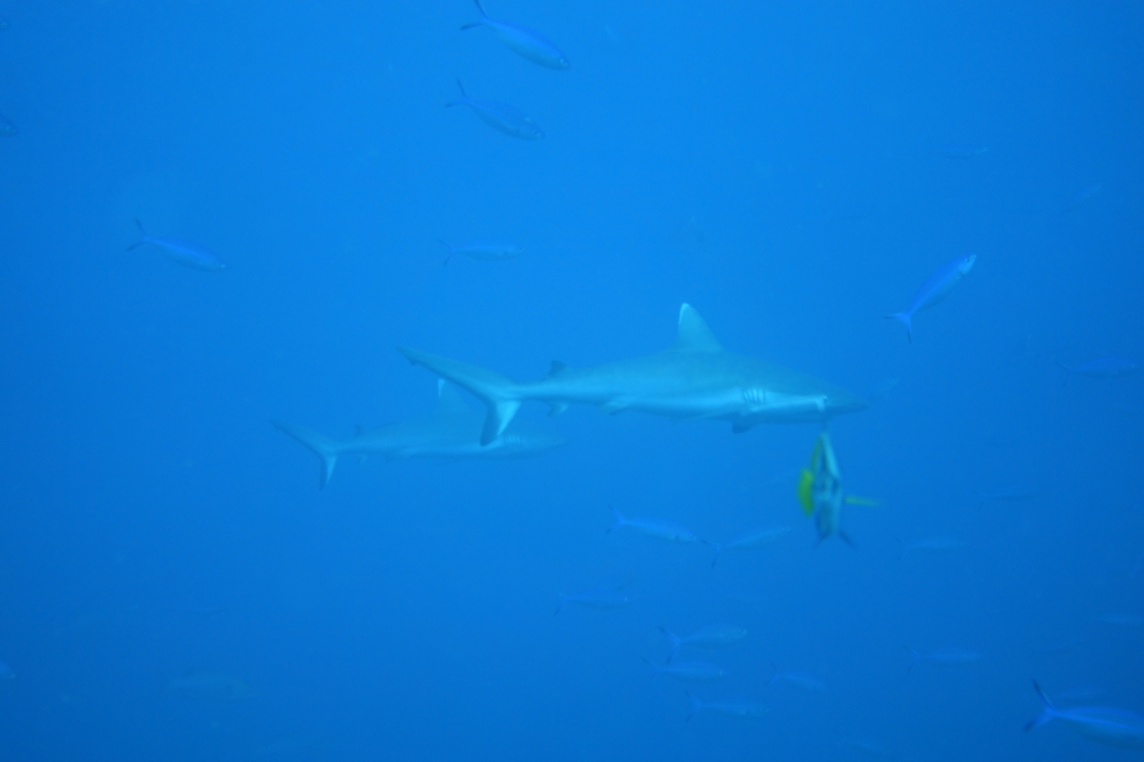 DSC00621.JPG