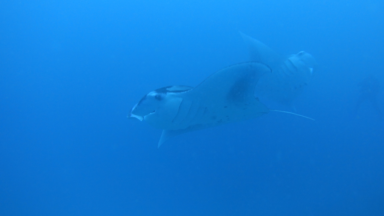 DSC00711.JPG