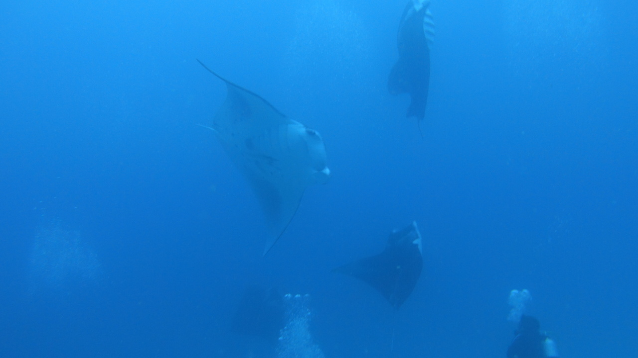 DSC00744.JPG