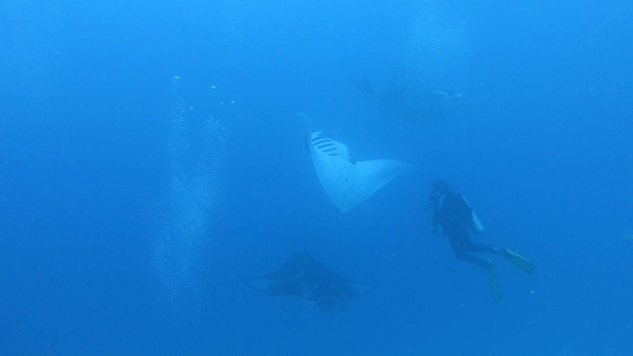 DSC00745.JPG