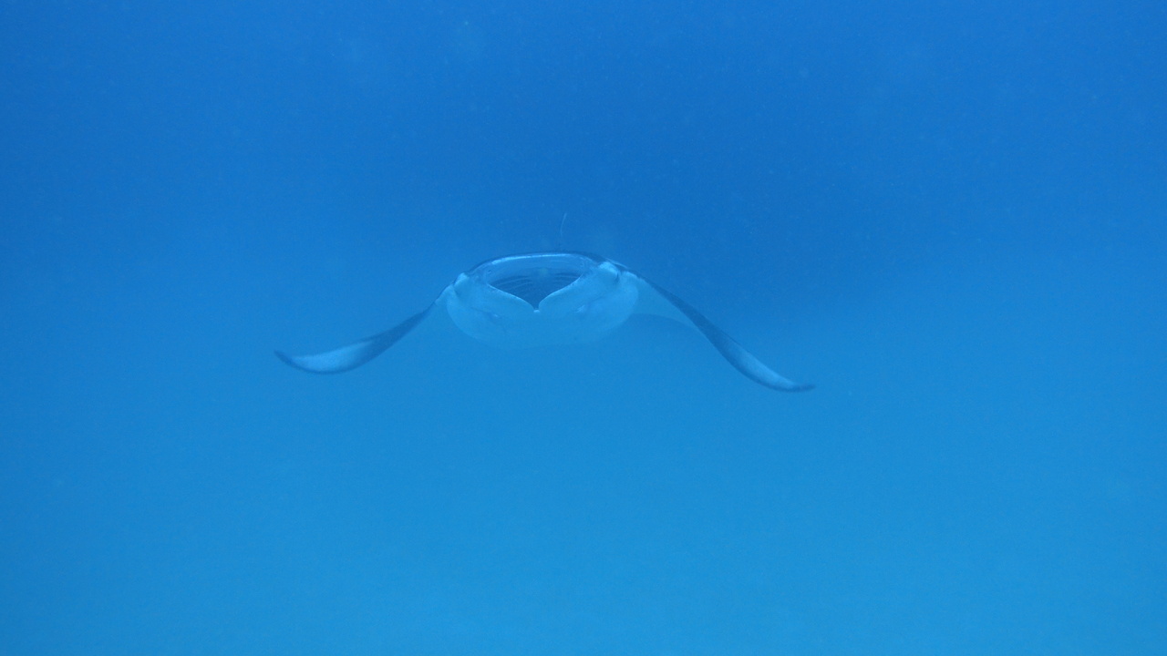 DSC00758.JPG
