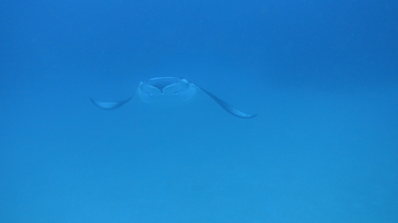 DSC00759.JPG