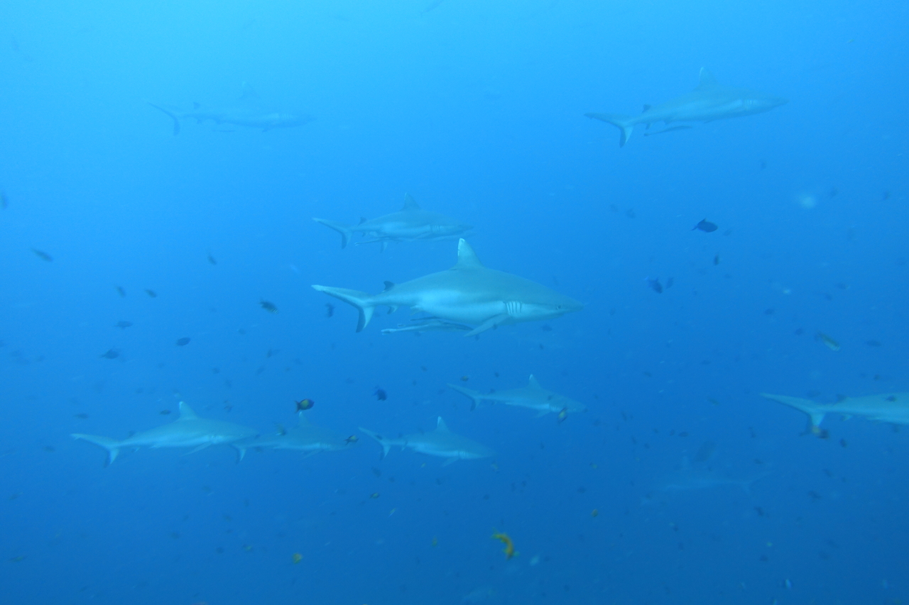 DSC00849.JPG