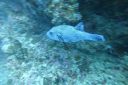 DSC00082.JPG