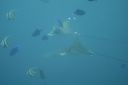 DSC00098.JPG