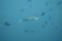 DSC00106.JPG