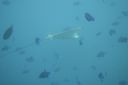 DSC00107.JPG