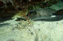 DSC00125.JPG