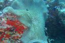 DSC00127.JPG