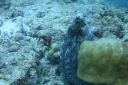 DSC00129.JPG