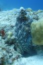 DSC00130.JPG