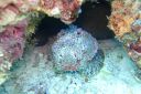 DSC00133.JPG