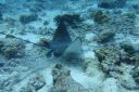 DSC00138.JPG