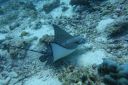 DSC00139.JPG