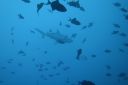 DSC00140.JPG
