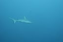 DSC00153.JPG
