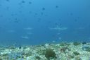DSC00164.JPG