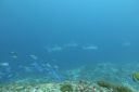 DSC00168.JPG