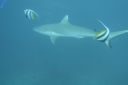 DSC00176.JPG