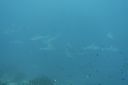 DSC00181.JPG