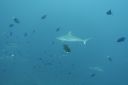 DSC00188.JPG