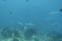 DSC00189.JPG