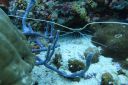 DSC00193.JPG