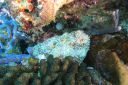 DSC00195.JPG