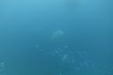 DSC00197.JPG