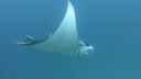 DSC00210.JPG