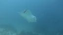 DSC00227.JPG