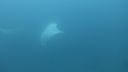 DSC00230.JPG
