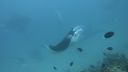 DSC00235.JPG