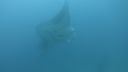 DSC00244.JPG
