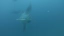 DSC00253.JPG