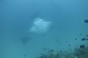 DSC00256.JPG